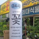 이안도매 이미지