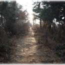 점섬운동장 이미지