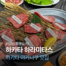 타스 | 후쿠오카 하카타역 야키니쿠 맛집 하카타 하라미타스 후기