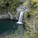 천제연폭포 이미지