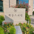 계룡마트 이미지