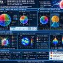 [생체기하학 및 전산발생학 분석 백서] 리만 구면($S^2$) 8분공간 분할과 가우스 복소평면 등각사영을 이용한 난자-정자 3차원 동역 이미지
