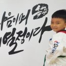 킹덤태권도 이미지