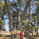 화성 48코스(경기둘레길) 이미지