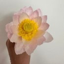 소랑꽃 | 소랑꽃 수업 후기 | 연꽃 화기 센터피스