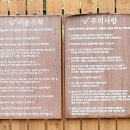 멍숲 이미지