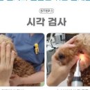 SCI 메디컬 이미지