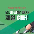 농협중앙회경상북도 청송군지부 | 국민 생활스포츠 파크골프 시니어 파크골프 즐기기 파크골프 라운딩 지도 성주 피닉스파크골프장 사용 후기