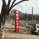 촌구석식당 이미지