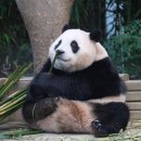 다복향마라탕 이미지