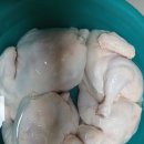 옻닭백숙 잔치ᆢㅎ 이미지