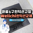 죽전1구 | 1구인덕션고장 Wellchi KR-110TC 교체 설치