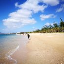 별빛물든바다 이미지