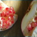 돌탑농장 이미지