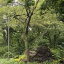 블랙스톤 제주 라운드 후기(골프쟁이밍구가 경험한 미래형 골프장 이야기)