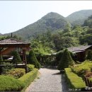 토담민박 이미지