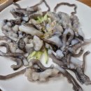 목포 송학낙지회관 낙지맛집 건강맛집 방문후기 (+낙지효능, 원기회복효과)