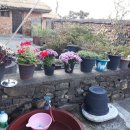 나리민박 이미지