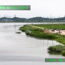 장안배수펌프장 이미지