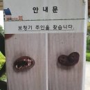갤러리보청기 이미지