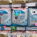 펫장터24