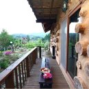 돌배나무 세그루 이미지