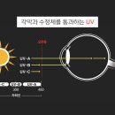 파이안경점 네이버블로그