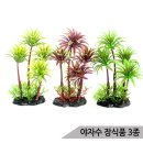 삼호수족관