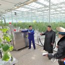 이례농장 이미지