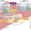 주사랑의원 이미지