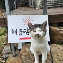 해를담은펜션 이미지