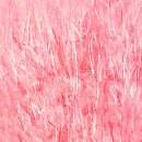 생명예찬2 이미지