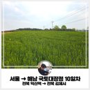 10 | 족저근막염 국토대장정 리얼 후기!! (10일차: 전북 익산역 → 전북 김제시)(Feat. 준비물, 비용, 기간...