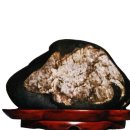 토기장이 이미지