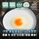 옹알옹알 | 우리 가족 건강 책임지는 구쁘 옹알옹알 유정란 솔직 후기
