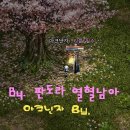 예진스킨