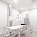 부산교통 이미지