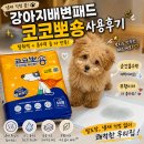 뽀숑뽀숑 | 강아지배변패드 코코뽀숑 사용후기 탈취력 흡수력 둘 다 만족