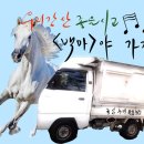 가자 이미지