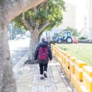 하모리 지석묘 네이버블로그