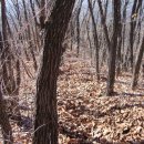 매봉산2 이미지