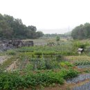 광주이씨광릉부원군파묘역 이미지