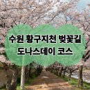 황구지천 | 수원 벚꽃 명소 황구지천 데이트 도너스데이 카페 방문 후기