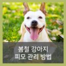24시 산들산들 동물병원 이미지