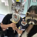 은석어린이집 | 너를 사랑했던 사랑의 계절에 너와 난