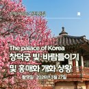 빛 | 창덕궁 빛바람들이기&amp;홍매화 후기