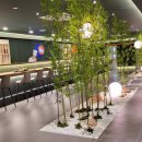 해궁참치 이미지