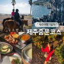 중문통나무휴양펜션 | 제주 중문 여행코스 1일차 ( 대포해안주상절리 / 에가톳라이브러리 / 중문승마공원 / 별돈별 )