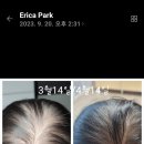 닥터시스 셀클럽 이미지