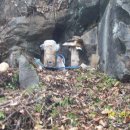 동강농장 이미지